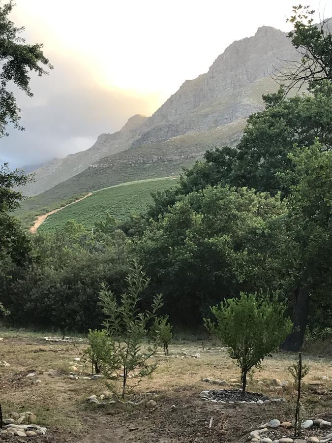 סטלנבוש At Home In Mostertsdrift מראה חיצוני תמונה